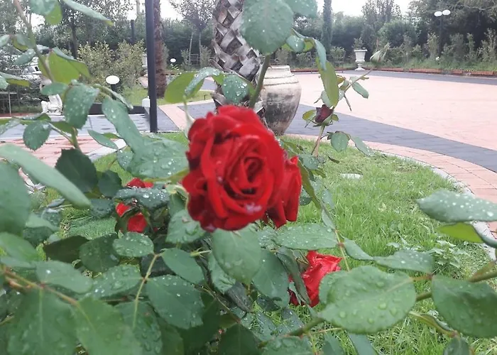 Apartman Sole *
